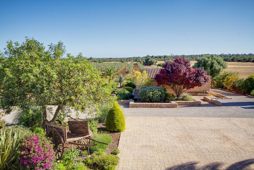 Carro Casa di campagna Campos (Mallorca)